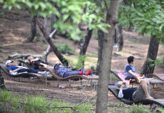12일 대구경북 대체로 흐리고 소나기 내릴 예정…낮 최고기온 26~33℃