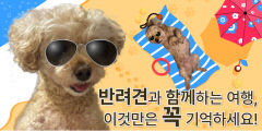 반려견과 함께하는 여행 이것만은 꼭 기억하세요…건강 상태 체크·교통수단 준비·펫티켓