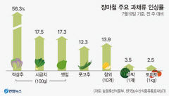 '레인+히트플레이션' 채소·과채류 가격 줄인상