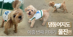 [댕동여지도] 넓은 모래밭을 뛰놀고 샤워도 할 수 있는 경북 최초의 '펫 비치'