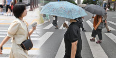 [주말 날씨] 8월 첫 주말 폭염과 열대야 이어지고 소나기…낮 최고 30~37℃
