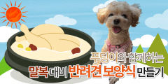 사람도 강아지도 힘든 한증막 더위 속, 말복 대비 반려견 보양식 만들기