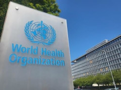 원숭이두창 '엠폭스' 창궐에 WHO 비상사태 선포…새 변이 빠른 전파·치명률도 더 높아져