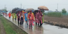 [내일 날씨] 27일 대구·경북 비오고 열대야로 '찜통'…낮 최고 29~33℃