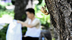 8월 대구 평균기온 29.1℃ '역대급 더위'…경북 곳곳에선 역대 최고기록 경신
