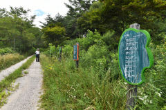 [별천지 영양의 숲과 마을 .7] 문바우 마을 시가 있는 아름다운 임도
