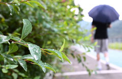 [내일 날씨] 12일 대구·경북, 가끔 빗방울 떨어져…낮 최고기온은 27~32℃