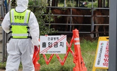소 럼피스킨 잇따른 확산에 경북도 유입 방지 총력