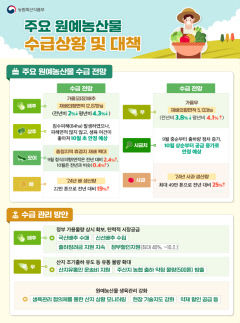 배추 한포기 도매가 9천537원 