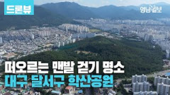 [드론] 떠오르는 맨발걷기 명소···대구 달서구 학산공원