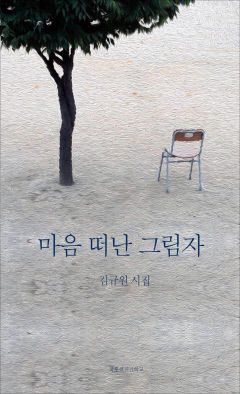 [새로 나왔어요] 마음 떠난 그림자
