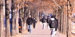 [내일 날씨] 8일 대구·경북, 일교차 커 쌀쌀하고 부슬비…낮 최고 20~25℃