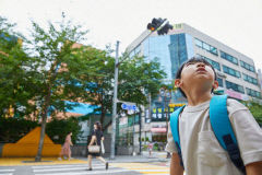 현장 교원 66.6% 