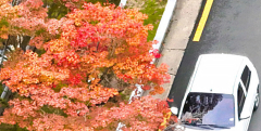 대구·경북, 일교차 큰 날씨…낮 최고기온 25℃ 예상
