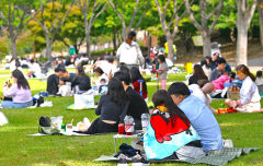 [포토뉴스] 한글날 두류공원에 나들이 나온 대구시민들