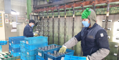 수도권 본사 뿌리업종 중견기업도 비수도권 지방공장에 외국인 고용 가능