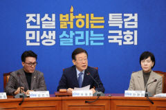 민주당, 심우정 검찰총장 탄핵 결정