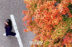 단풍철 맞은 팔공산에 DRT 투입…26일 첫 운행
