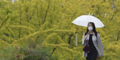 [주말 날씨] 26·27일 대구경북, 일교차 크고 일요일엔 비 소식…일교차 10~15℃