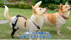 [의료특집] 굳센병원, 봉사·나눔가치 실천하는 '상생병원'