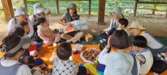 [동네뉴스] 나르샤어린이집 숲 체험활동