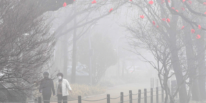 [내일 날씨] 31일 대구·경북, 안개 짙고 일교차↑…낮 최고 20~22℃