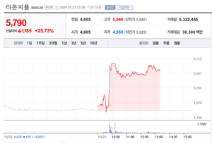 라온피플, 25% 급등…장중 상한가 터치