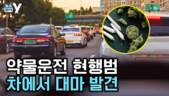 [뉴스와이] 약에 취해 차량 2대 잇달아 충돌···차 안에서 대마 가루 발견된 40대 구속