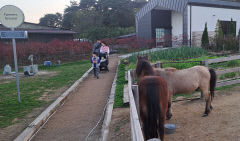 [상주 가볼만한 곳] 어린이들의 꿈나라 스테이지 파머스 룸