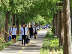 포항철길숲, 연 4천억 소비유발 효과 냈다