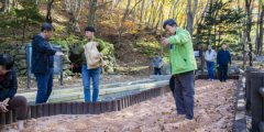 울릉도 나리분지 숲길에 맨발걷기 구간 조성