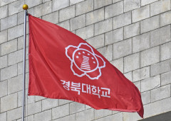 대구대·안동대·경북대…TK 대학교수들 잇따라 '시국선언'