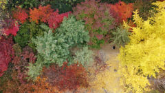 대구경북 가끔 구름 많고 낮 기온 11~15℃