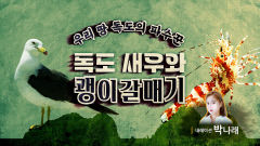 개그우먼 박나래 '독도' 홍보 나섰다