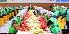 청송군새마을회, 사랑의 김장담그기로 따뜻한 온정 나눠