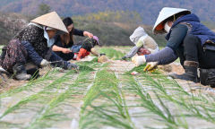 대구경북 대체로 맑은 날씨…낮 기온 11~14℃