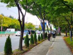 '도심 속 기온 낮춘다' 대구서 도시바람길숲 조성 잇따라