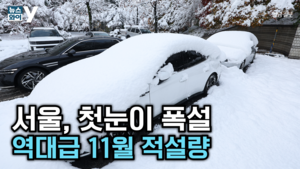 [뉴스와이]117년 만의 기록적 첫눈… 서울은 설국