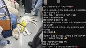 “피곤한지 발라당”…출근길 지하철서 잠든 안내견에 시민들 반응 ‘뭉클’
