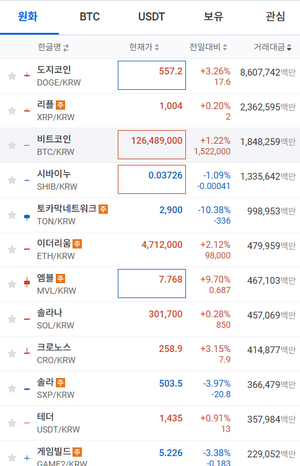 도지코인, 머스크 미 행정부 합류 ‘질주’…비트코인 9만 찍었다