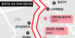 대구 분양시장 중심축 '달구벌대로→동대구로' 대이동