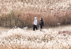 대구경북 대체로 맑다가 오후부터 흐림…낮 최고 18℃ '포근'