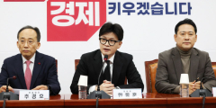 국힘 