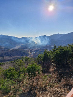 [속보] 울진 온정면 야산서 산불…강풍 속 진화 총력