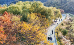 [내일 날씨] 10일 대구·경북, 바람 강하고 대기 많이 건조…