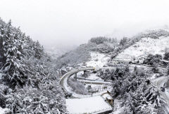 19일 대구경북 '꽁꽁'…안동 -12.4℃ 등 지역 곳곳 올겨울 가장 추워