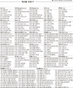 12월24일(화) 케이블·위성TV 편성표