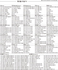 12월25일(수) 케이블·위성TV 편성표