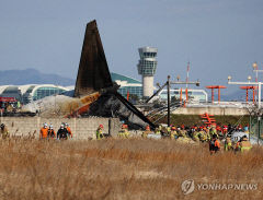 여야, 무안공항 여객기 사고 긴급 논의…수습 방안 마련 나서