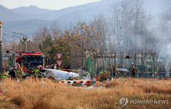 [제주항공 무안 참사] '조류 충돌' 공포 확산…